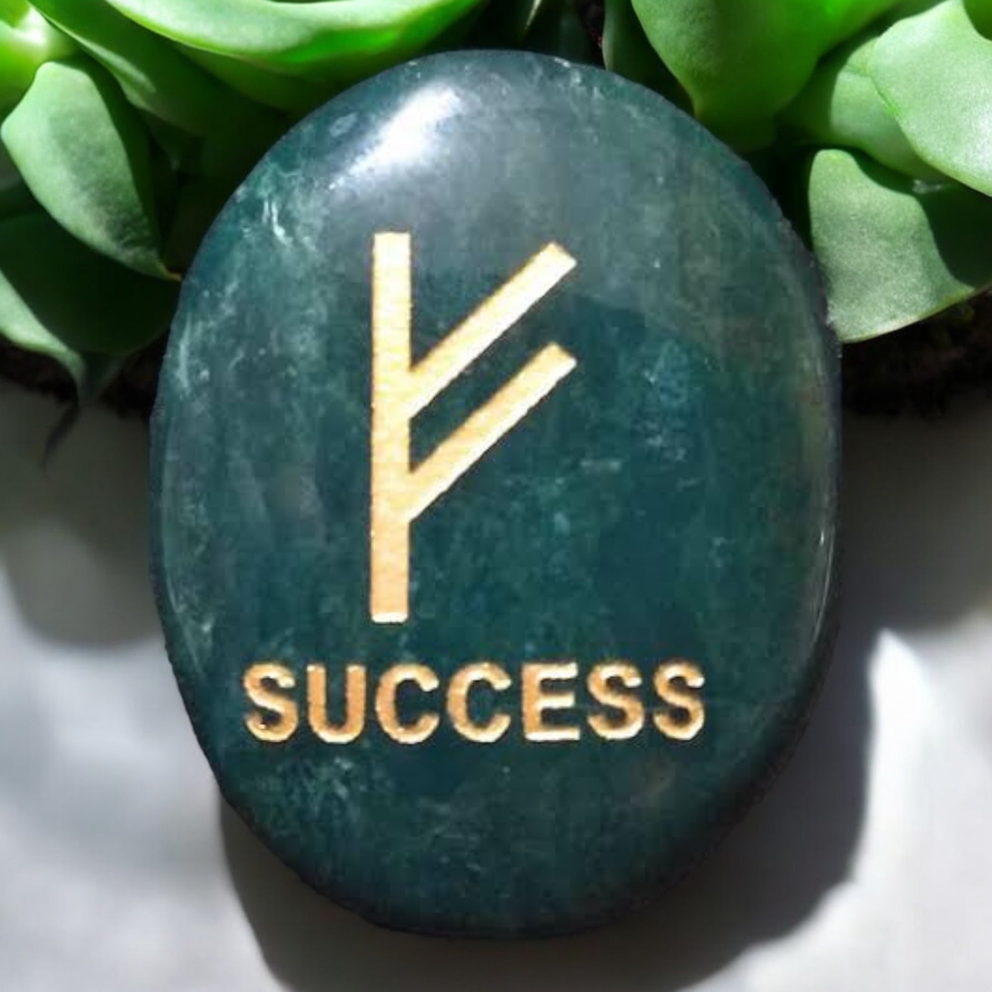 Fehu Money and Success Symbol Coin