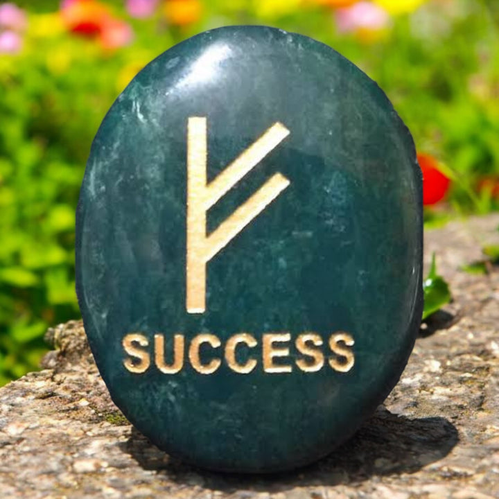 Fehu Money and Success Symbol Coin