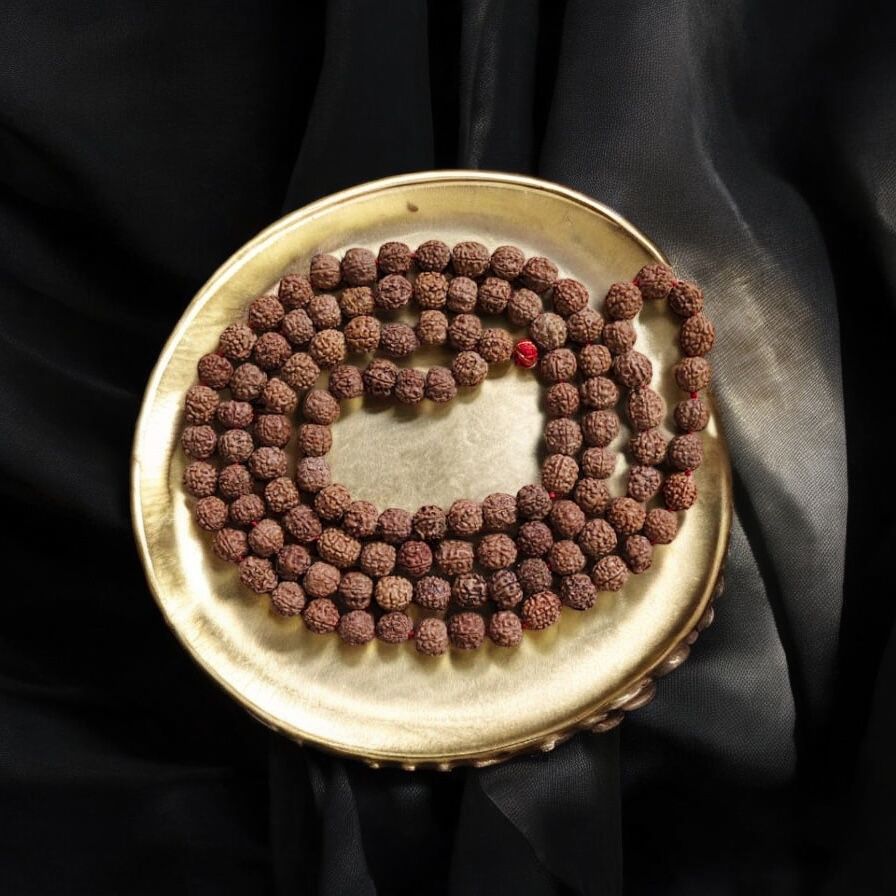 Rudraksha Jaap Mala – 108+1 Big Beads