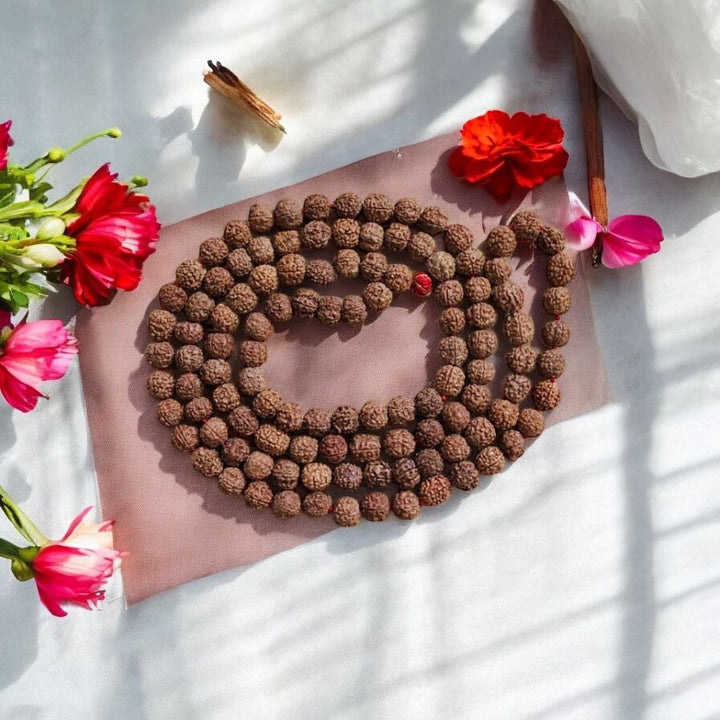 Rudraksha Jaap Mala – 108+1 Big Beads