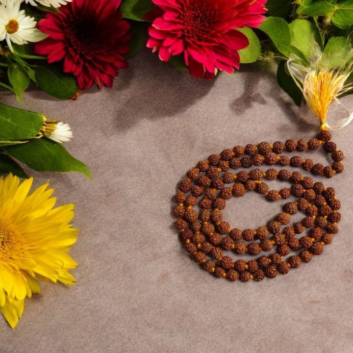 Rudraksha Jaap Mala – 108+1 Small Beads